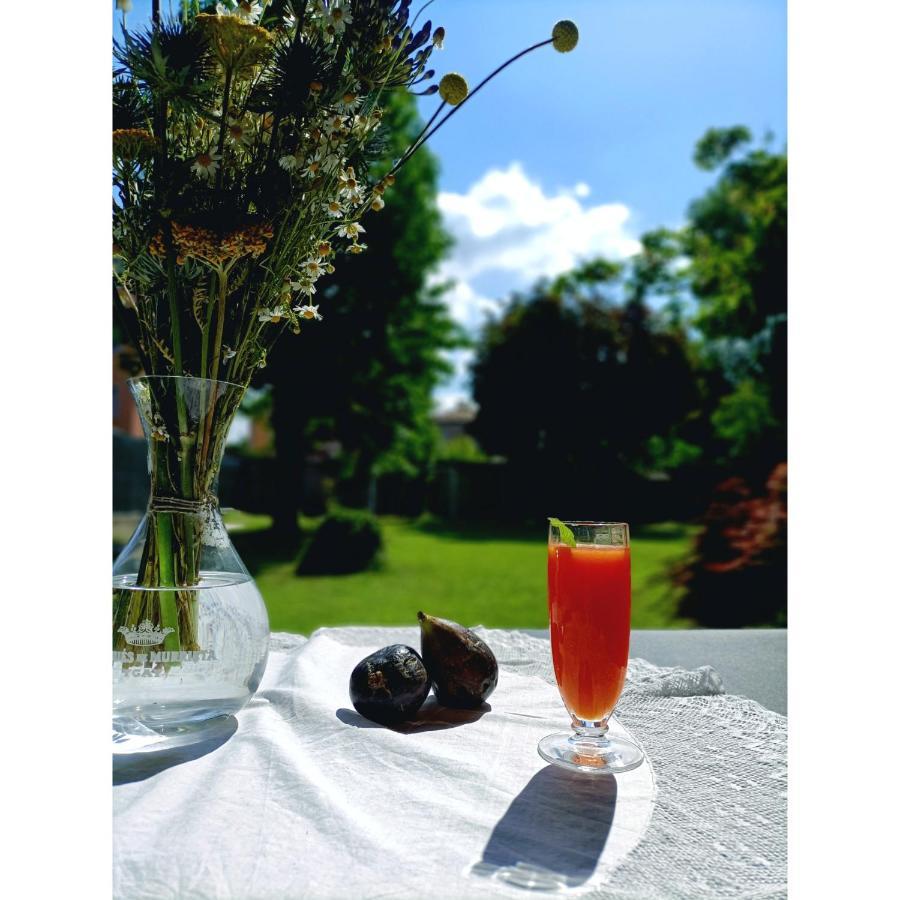 Villa Rustico Viboldone Екстер'єр фото